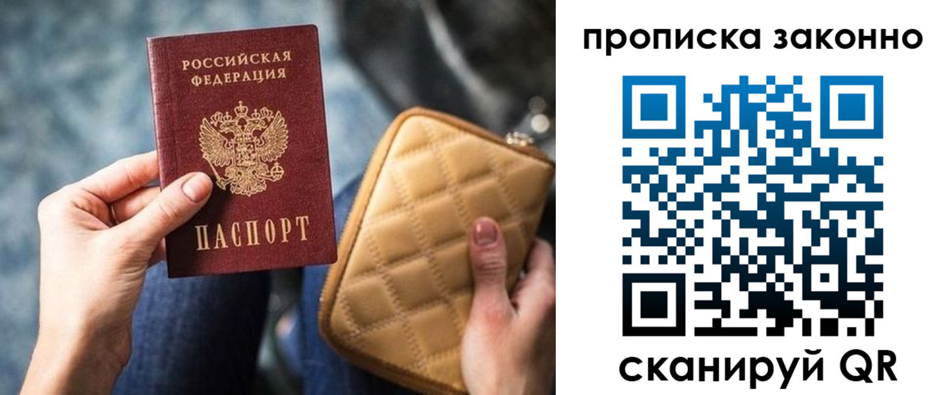 прописка поиск в Димитровграде