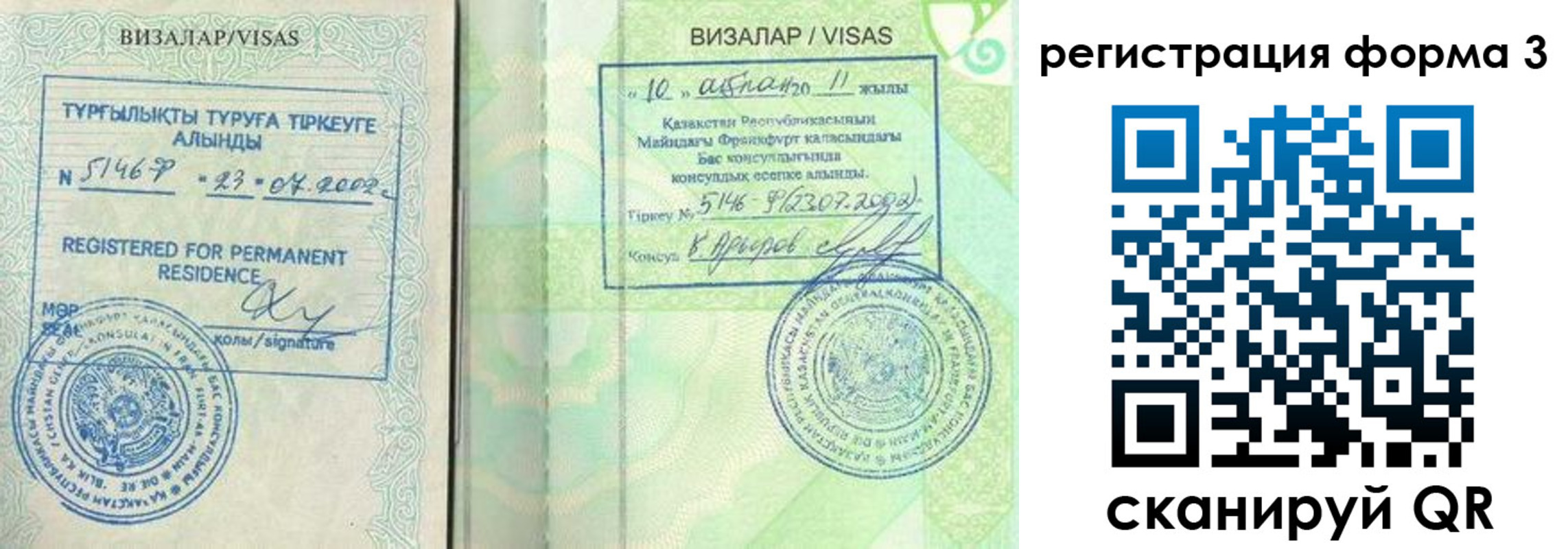 где прописаться в Димитровграде